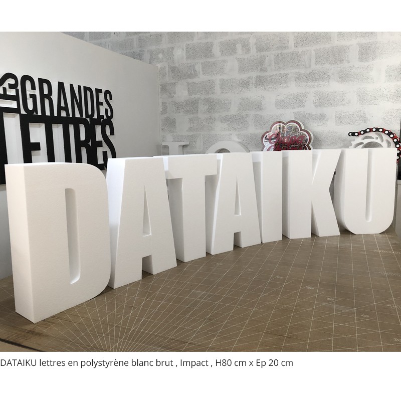 DATAIKU lettre géantes polystyrène blanc brut événement professionnel