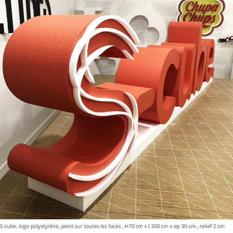 logo polystyrene scube