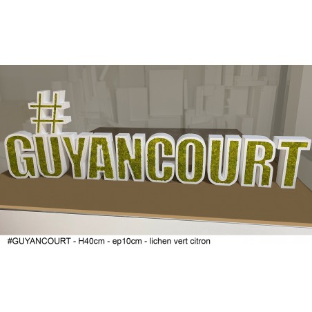 #GUYANCOURT lettres végétales géantes polystyrène lichen vert citron